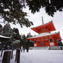 日本四國88站朝聖之旅