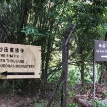 寺院遊第二回 【萬佛寺、道榮園】