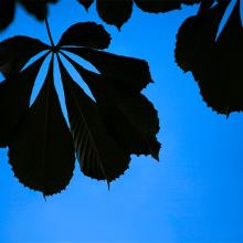 360